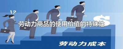 ​劳动力商品的使用价值的特殊性