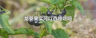 ​龙葵果实可以直接吃吗