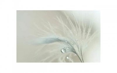 ​女生给男生备注awm是什么意思