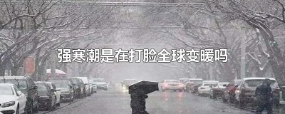 ​强寒潮是在打脸全球变暖吗