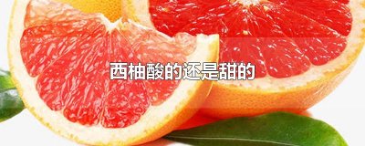 ​西柚酸的还是甜的