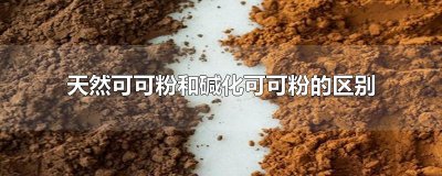 ​天然可可粉和碱化可可粉的区别