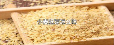 ​小麦胚芽怎么吃 小麦胚芽怎么吃有营养