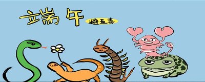 ​蜈蚣是昆虫吗