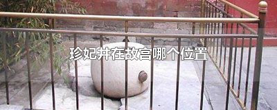 ​珍妃井在故宫哪个位置