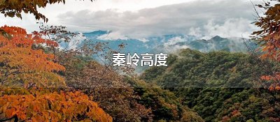 ​秦岭高度