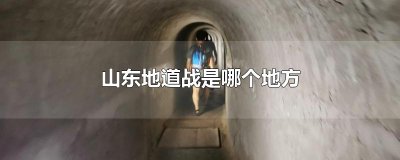 ​山东地道战是哪个地方