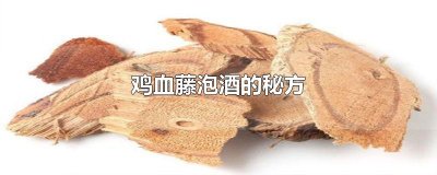 ​鸡血藤泡酒的秘方