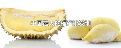 ​中国最大的榴莲批发地