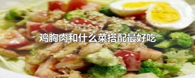 ​鸡胸肉和什么菜搭配最好吃