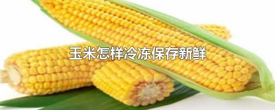 ​玉米怎样冷冻保存新鲜