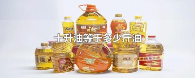 ​十升油等于多少斤油