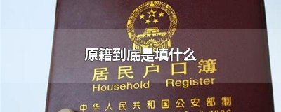 ​原籍到底是填什么