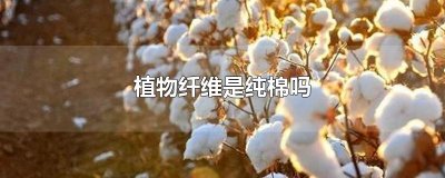 ​植物纤维是纯棉吗