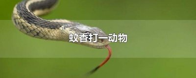 ​蚊香打一动物