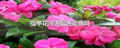 ​指甲花冷冻后还能用吗