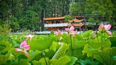 ​夏天推荐6个，清凉舒爽风景美的地方，赶紧收藏起来去避暑吧！