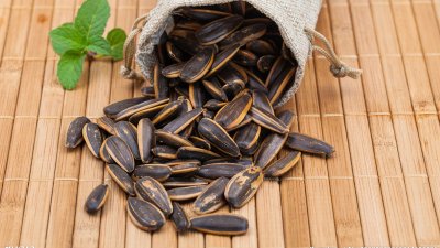 ​瓜子吃了会胖吗