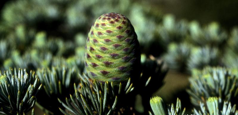 玉皇大帝历劫的故事(玉皇大帝经历了多少劫难)