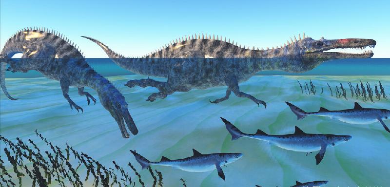 玉皇大帝历劫的故事(玉皇大帝经历了多少劫难)