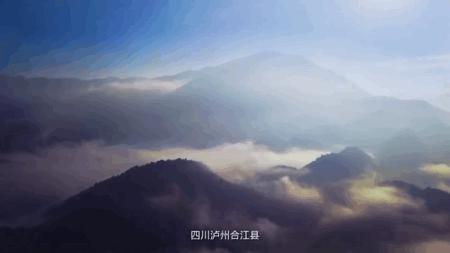 妃子笑荔枝的由来骑红尘妃子笑(一骑红尘妃子笑荔枝从哪里来)