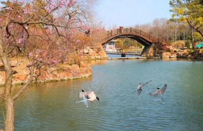 ​扬州什么时候去玩比较好(扬州适合几月份去旅游)