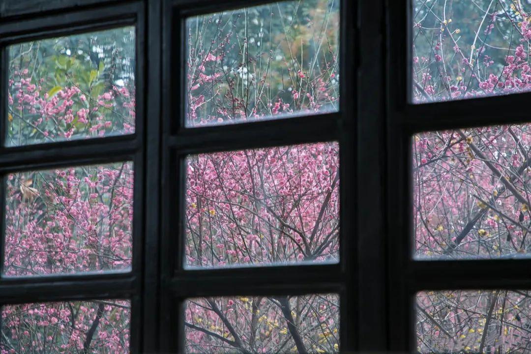 扬州什么时候去玩比较好(扬州适合几月份去旅游)