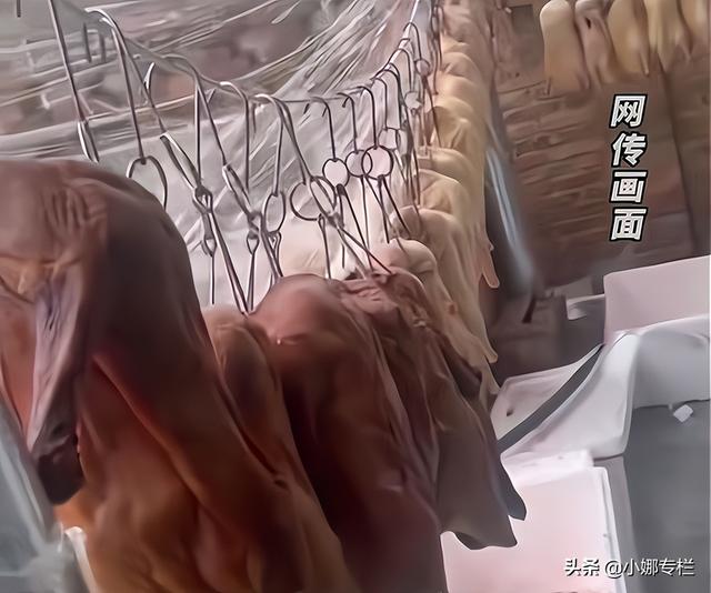 古镇发现一万支茅台（网传花费上千万元葬礼）(4)