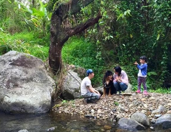 朱茵个人资料简介: 52岁的朱茵,住深山残屋,开97年破车!沦为别人眼中的“笑话”