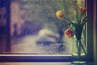 ​端午节的祝福语怎么写（端午节的优美句子简短）