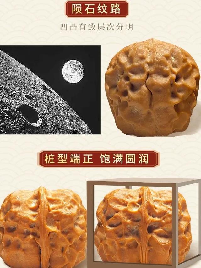 各种文玩核桃(文玩核桃全分类)(2)
