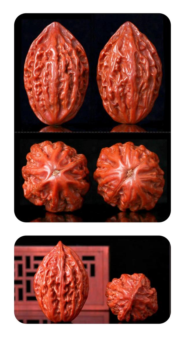 各种文玩核桃(文玩核桃全分类)(4)