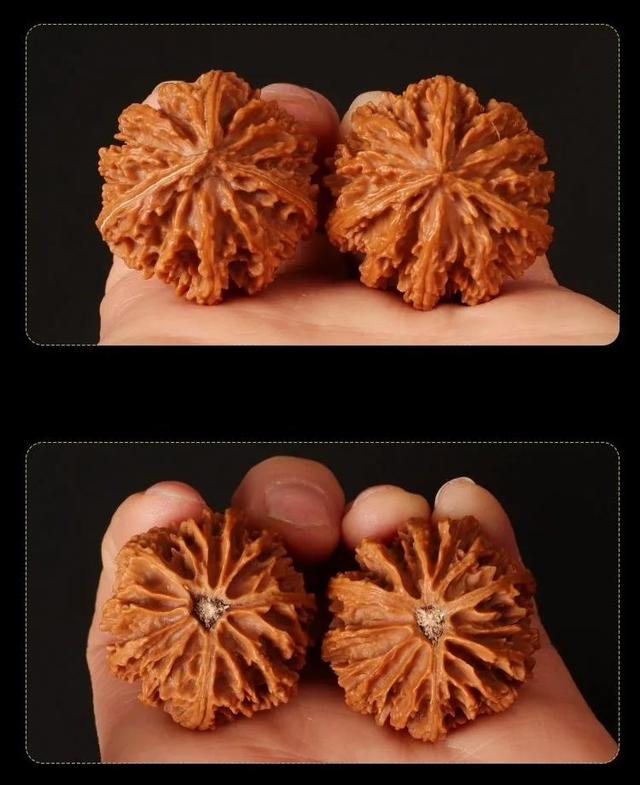 各种文玩核桃(文玩核桃全分类)(5)