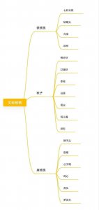 ​各种文玩核桃（文玩核桃全分类）