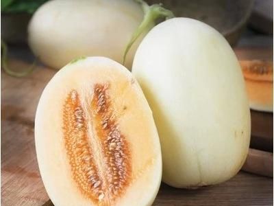 香瓜纯绿色介绍