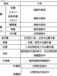 ​多糖有哪些(单糖,二糖,多糖)