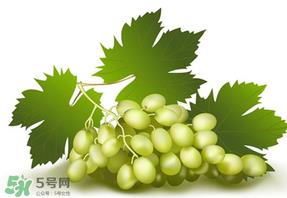 青提不能和什么一起吃？青提哪些人不能吃？