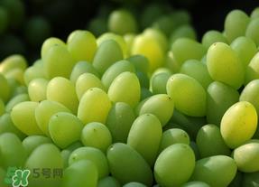 青提不能和什么一起吃？青提哪些人不能吃？