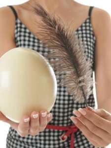 ​吃鸵鸟蛋的禁忌(鸵鸟蛋怎么打开不伤壳)