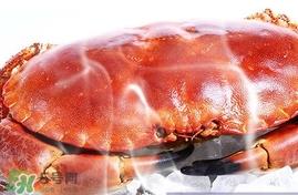 速冻面包蟹如何处理？活面包蟹怎么处理清洗