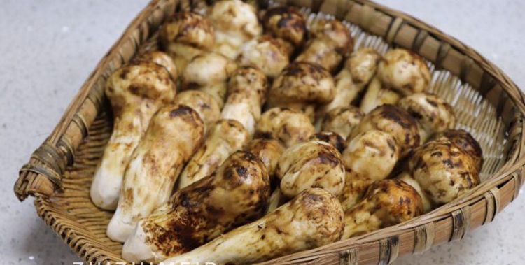 鲜松茸的清洗和保存方法