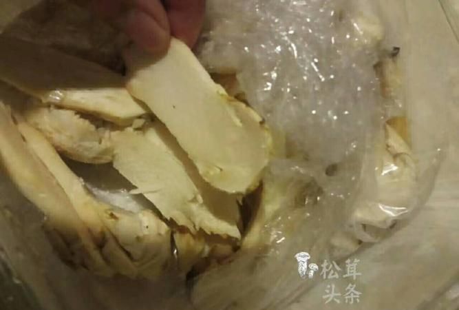 干松茸怎样清洗和保存