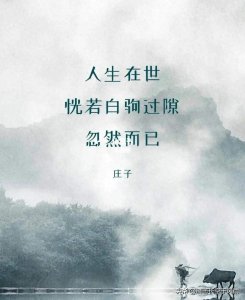 ​白驹过隙，白云苍狗