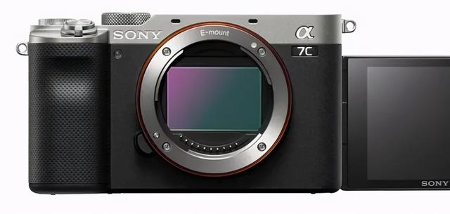 十款最好微单（什么微单值得买）(7)