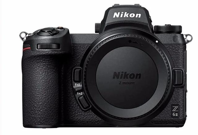 十款最好微单（什么微单值得买）(6)