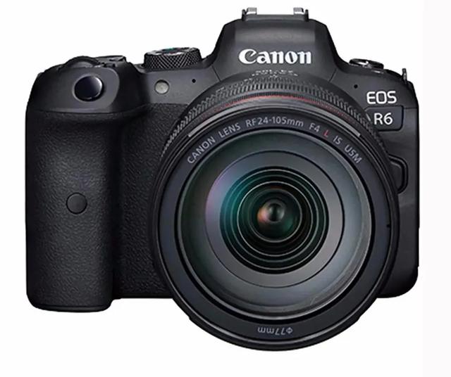 十款最好微单（什么微单值得买）(8)