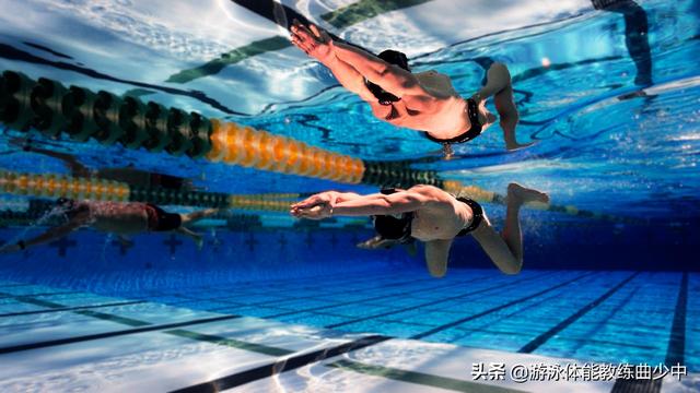 蛙泳分解教学（蛙泳完整教学流程）(2)