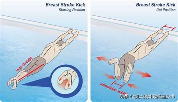 蛙泳分解教学（蛙泳完整教学流程）(3)