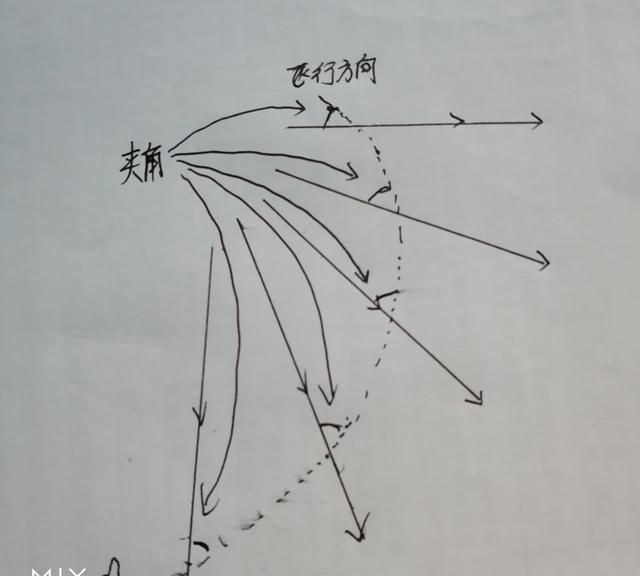 飞蛾为什么要扑火，你说飞蛾为什么要扑火怎么回复？图4