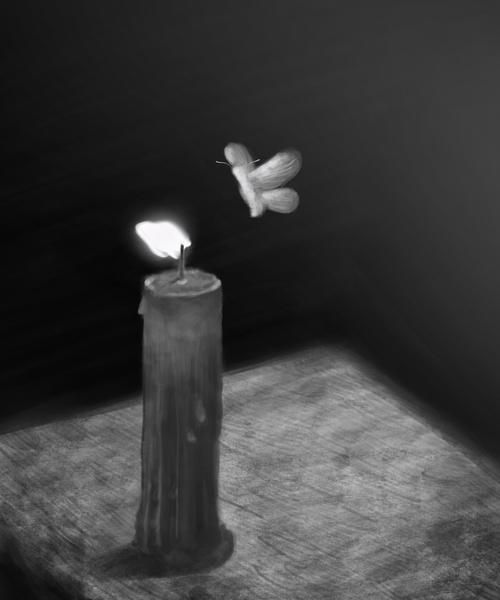 飞蛾为什么扑火科学解释